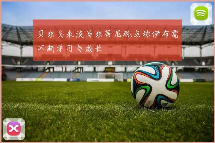 贝尔戈米谈马尔蒂尼观点称伊布需不断学习与成长