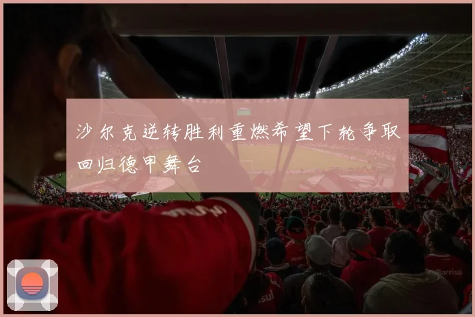 沙尔克逆转胜利重燃希望下轮争取回归德甲舞台